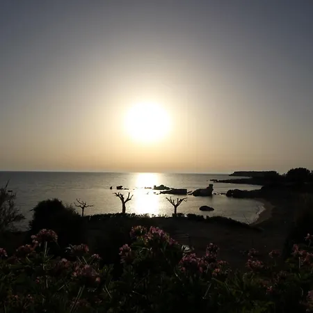 Pelagia 빌라